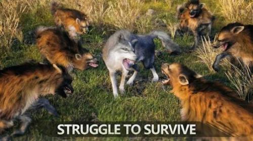 狼族崛起中文版1