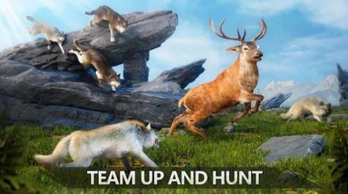 狼族崛起中文版3