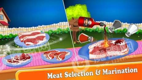 烧烤烧烤后院烹饪乐趣1