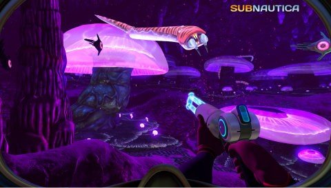Underwater Survival3