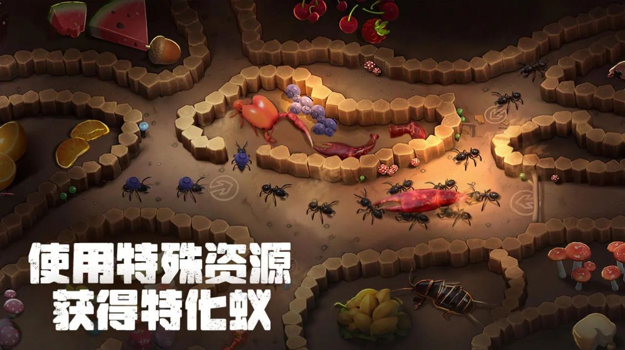 蚂蚁打不过 蚂蚁打不过