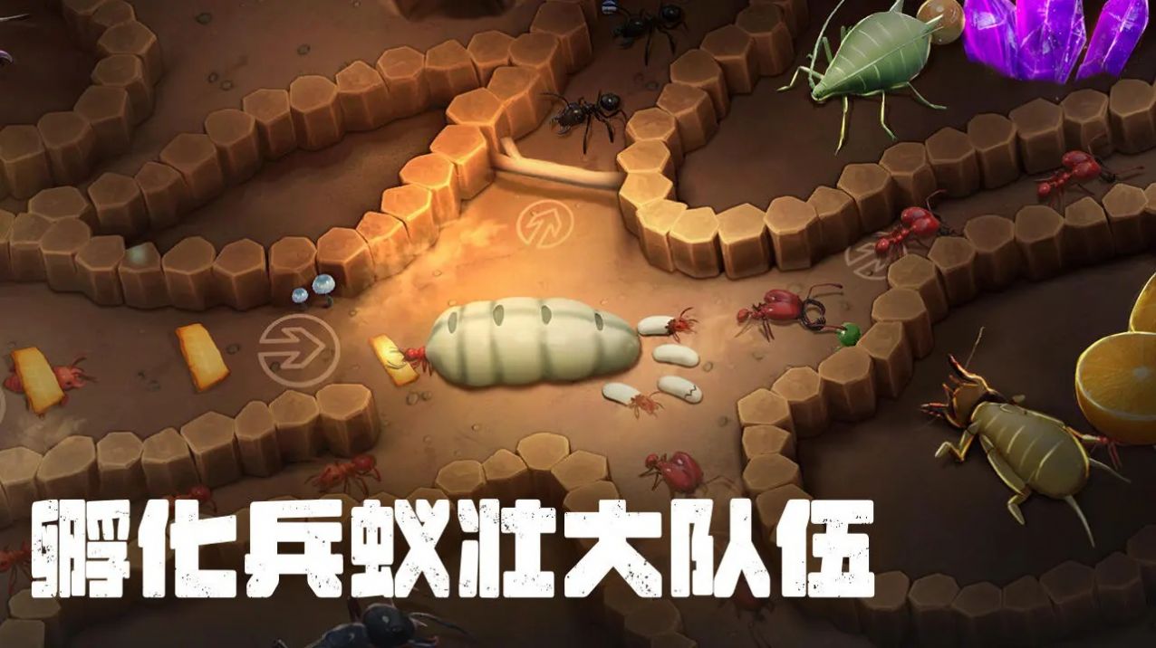 蚂蚁打不过 蚂蚁打不过