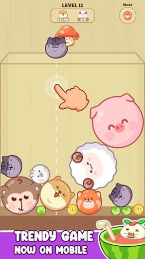 西瓜狂热下一步是什么2