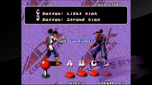 霸王忍法帖街机版