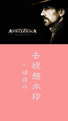快速去水印2