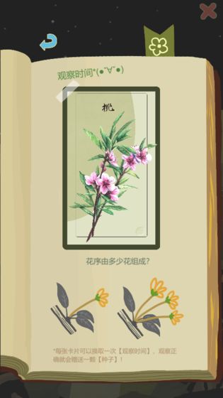 老农种树免费版1