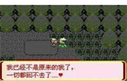 口袋妖怪迷失夜61