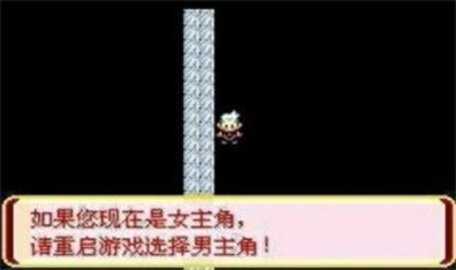 口袋妖怪迷失夜63