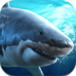 真实模拟鲨鱼捕食游戏
