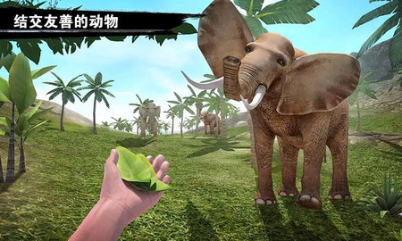 求生岛之旅手机版2