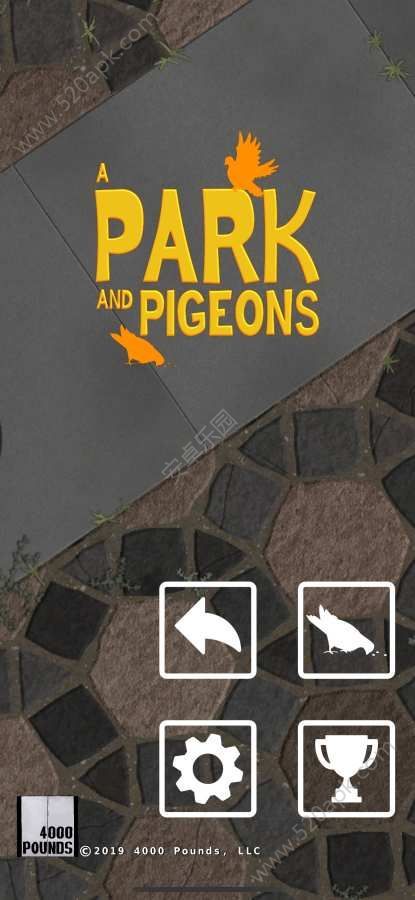 a park and pigeons0