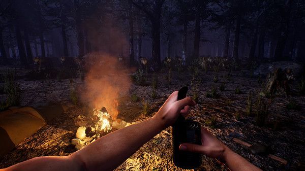 牛仔生活模拟器2