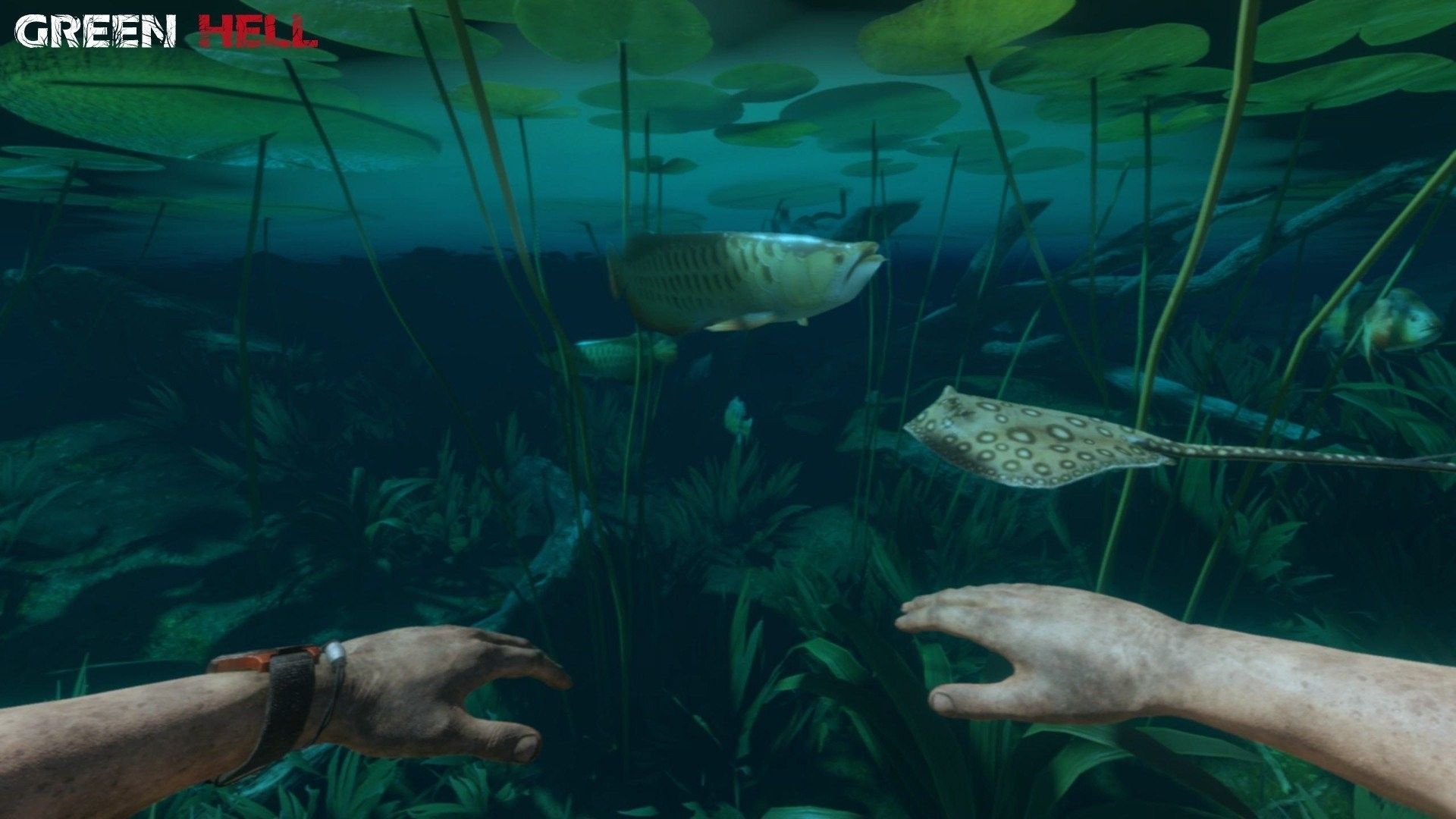 绿色地狱故事模式3