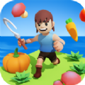 随玩农场