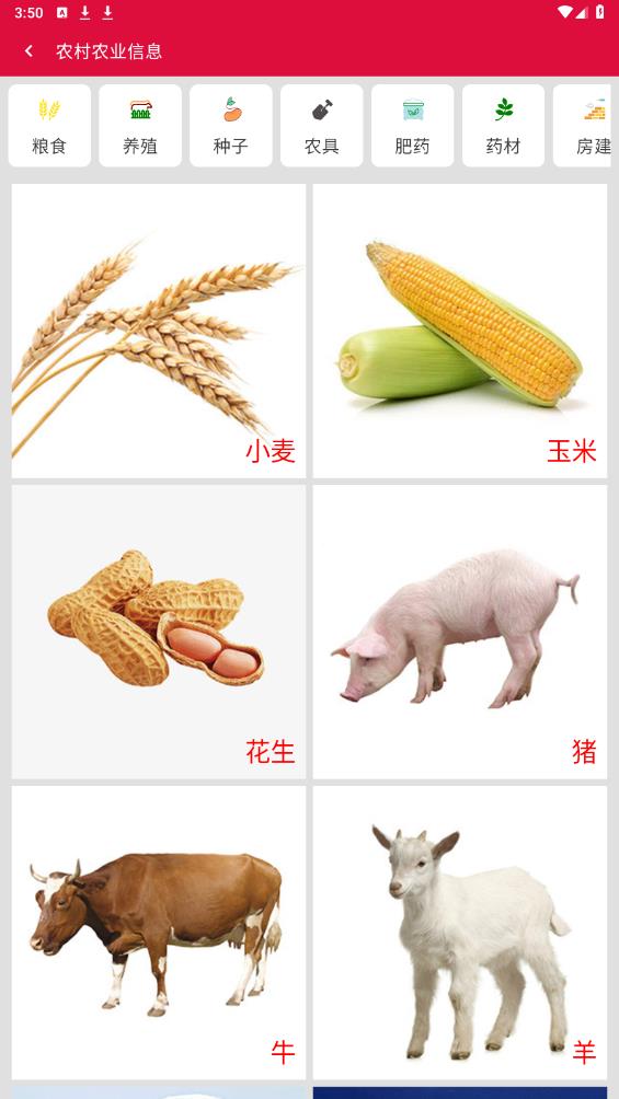 早安宜阳本地服务2