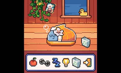 我的小鲨鱼warma1