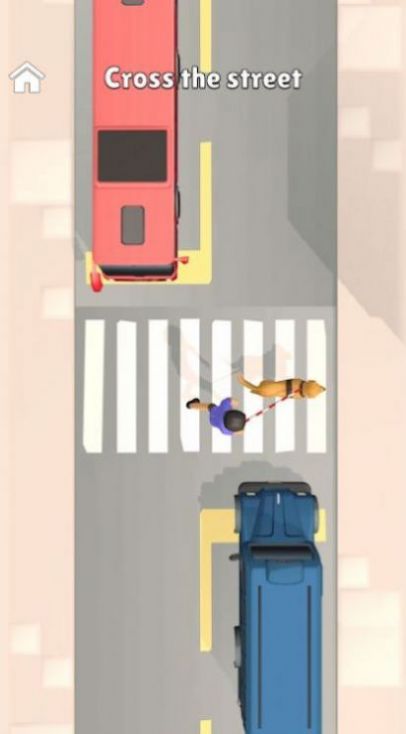 兴奋的狗狗训练1