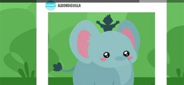 保护可爱的动物1