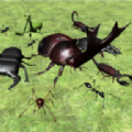 臭虫战斗模拟器3D游戏
