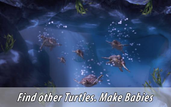 野生海龟家庭模拟器1