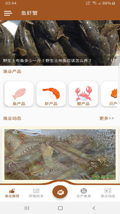 鱼虾蟹0