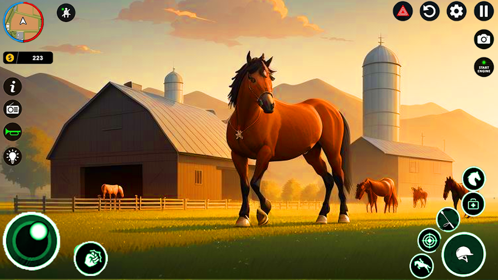 骑马的生活 骑马的生活