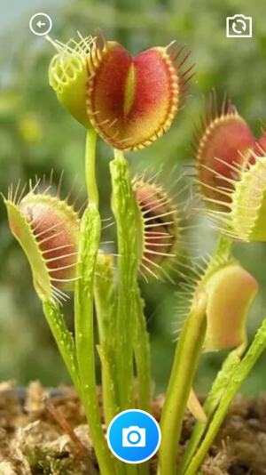 家乐全能工具箱0