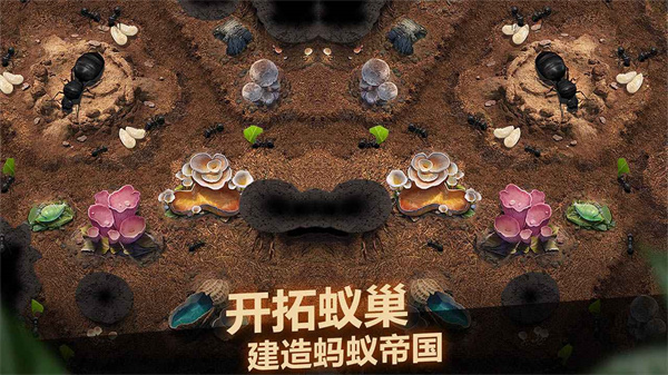 小小蚁国华为版1