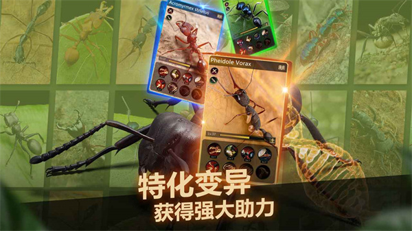 小小蚁国华为版