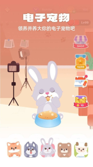 动物系脸型测试免费2