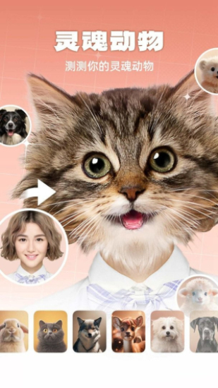 动物系脸型测试免费