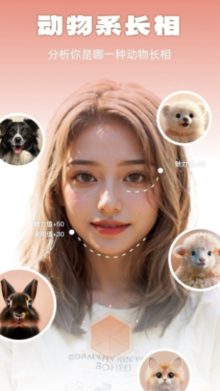 动物系脸型测试免费