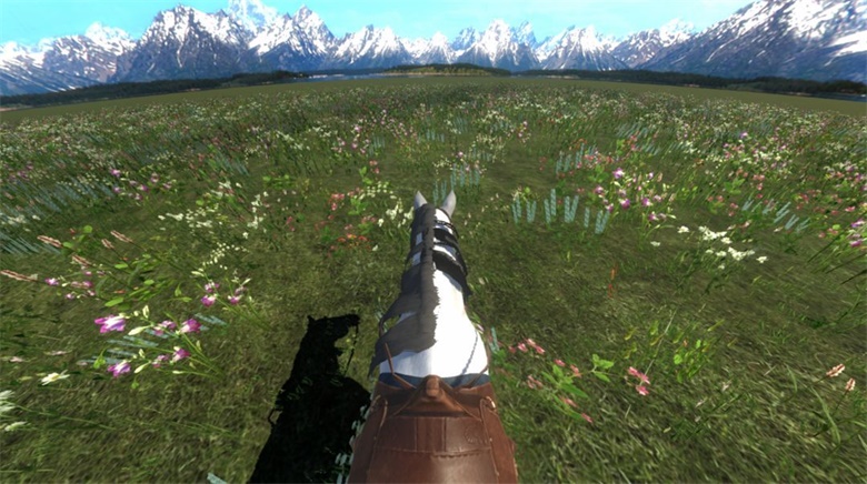 今天你骑马了吗测试0