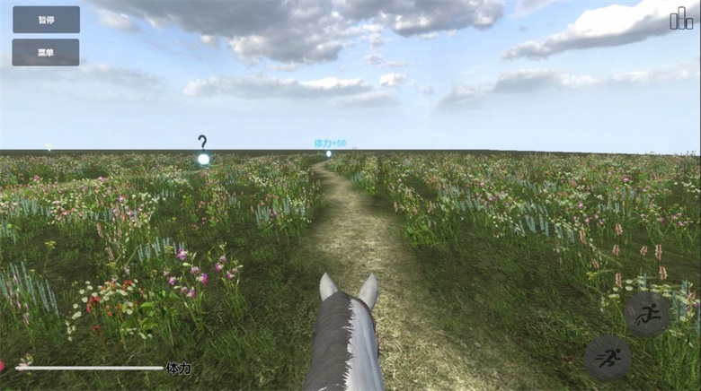 今天你骑马了吗测试1