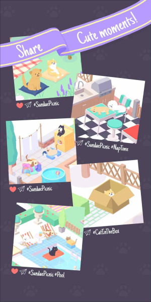 圣代野餐sundae picnic2