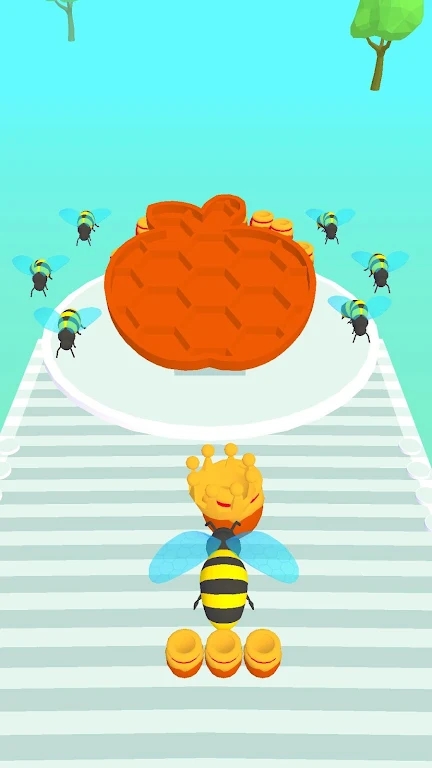 蜂蜜之路