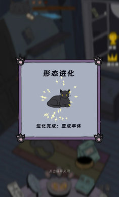 猫猫喵喵中文版2