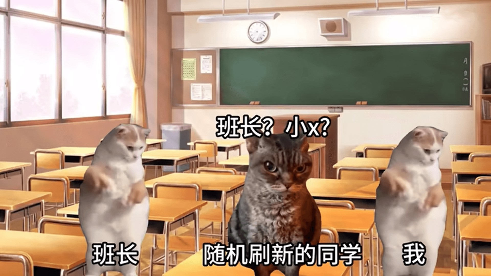恐怖猫猫惊魂1