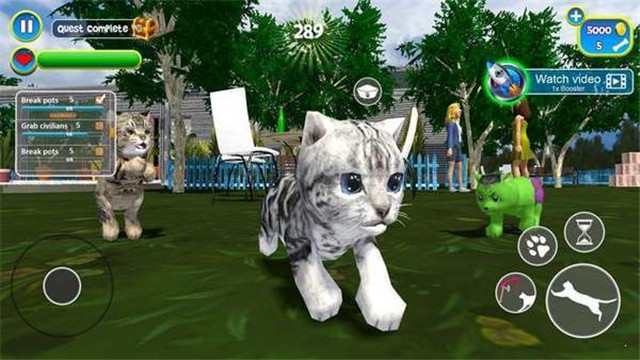 虚拟猫模拟器2