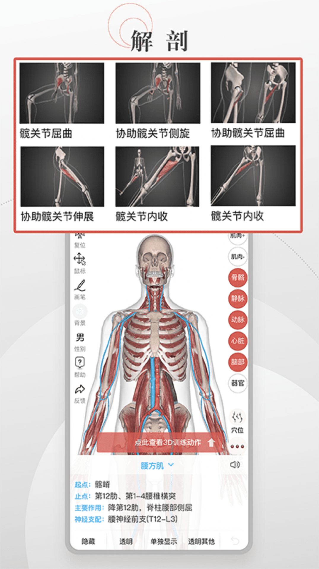 3D运动健康管理2