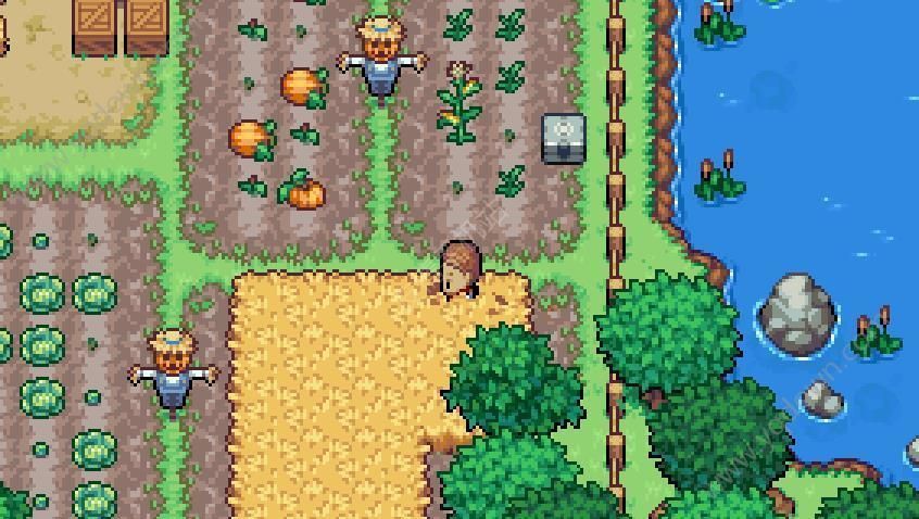 科洛蒙安卓完整版2