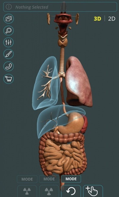 人体3D立体解剖2