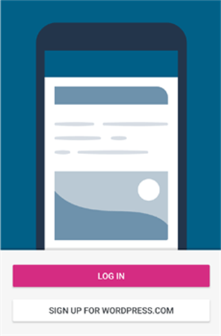 wordpress成品网站4