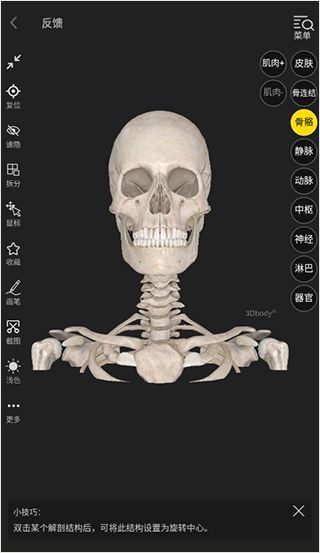 3dbody解剖免费版