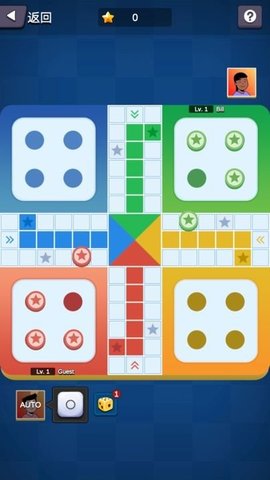 国际飞行棋LUDO2