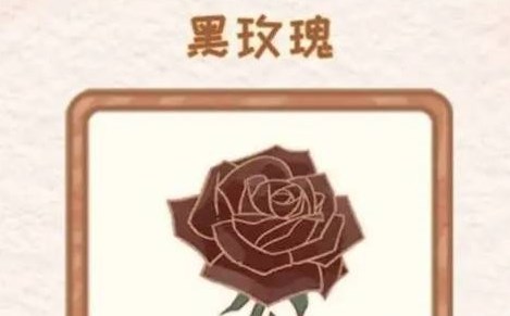 花店物语全解锁