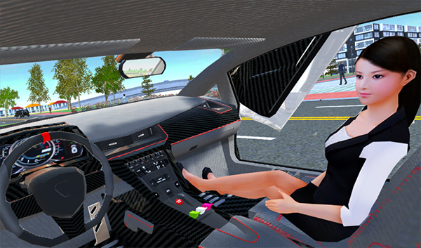 carsimulator22