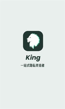 king隐私2