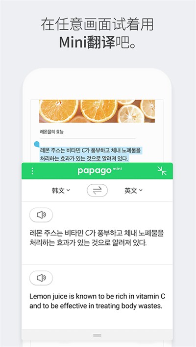 papago中韩翻译软件0