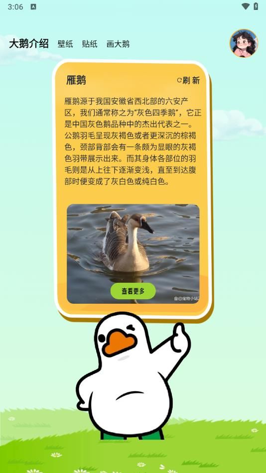 抓了个大鹅2